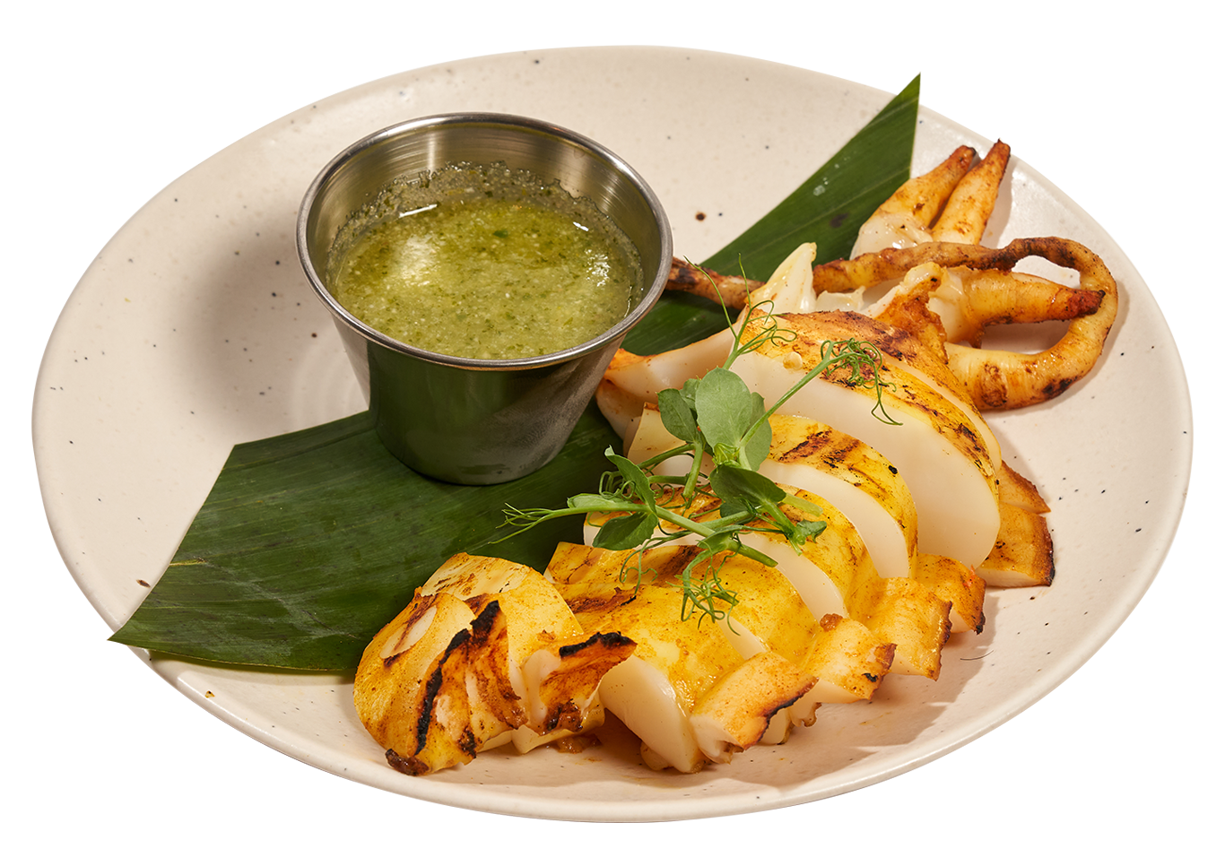 Grilled Squid